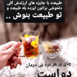 نمونه کار رویا کریم نژاد