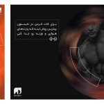 نمونه کار سحر عزتی