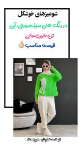 نمونه کار ادمین صبا شکوری