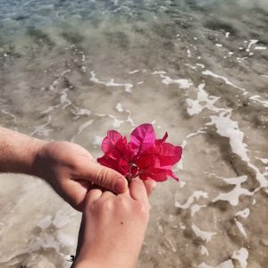 نمونه کار ادمین فائزه زمانی