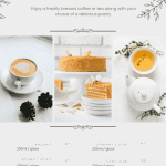 نمونه کار آتنا گنج خانلو