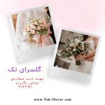 نمونه کار زهرا لرستانی