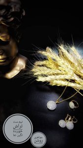 نمونه کار ادمین فاطمه میراحمدی