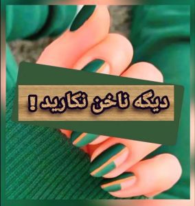 نمونه کار ادمین نازنین طالبی