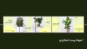 نمونه کار ادمین عسل ملایی