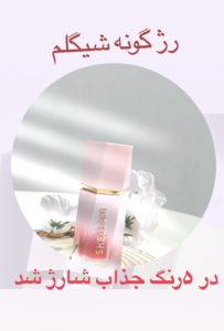 نمونه کار ادمین سونیا رحیم زاده