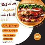 نمونه کار الناز نصیری