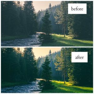 نمونه کار ادمین الهام عبدالهی