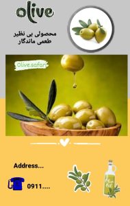 نمونه کار ادمین راضیه صفری الیزیی