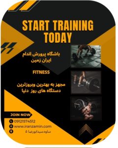 نمونه کار ادمین مهنازشالی