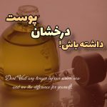 نمونه کار حمیده مهری