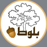 🌲🌰کابینت|دکوراسیون‌|بلوط🌰🌲