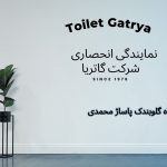 نمونه کار شقایق راد