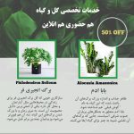 نمونه کار مریم شیرازی