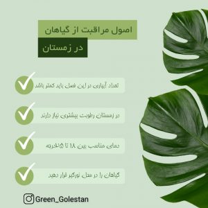 نمونه کار ادمین فاطمه سیوندی پور