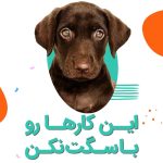 نمونه کار فائقه بحرینی