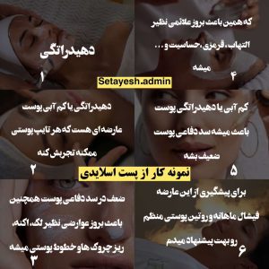 نمونه کار ادمین ستایش سید کاوسی