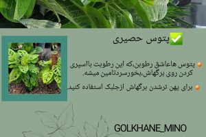 نمونه کار ادمین سمانه کریمی