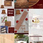 نمونه کار رعناموئیدی