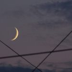 آیلین حسن زاده