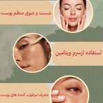 نمونه کار شیلاکرمی