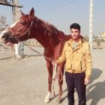 سهراب کلکویی