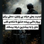 نمونه کار مرضیه محبی