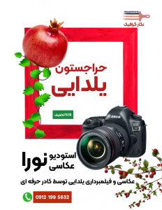 نمونه کار ادمین نگارقیصری