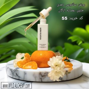 نمونه کار ادمین مبینا صوفی زاده