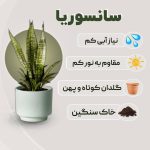 نمونه کار فاطمه یگانه