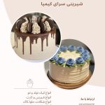 نمونه کار کیمیا عبادی