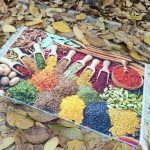 فرشینه ستاره ی غرب