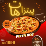 نمونه کار ندا حسینی