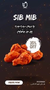 نمونه کار ادمین حسین امینی