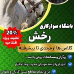 نمونه کار اسما حقیقت