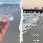 نمونه کار مهرانگیز ابراهیمی