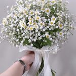 نمونه کار مائده داساربند