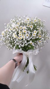 نمونه کار ادمین مائده داساربند