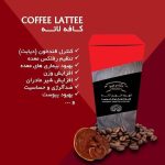 نمونه کار مرضیه نوروزی