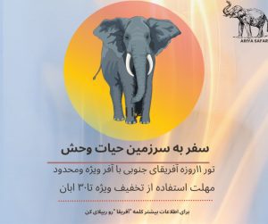 نمونه کار ادمین فهیمه زارعی