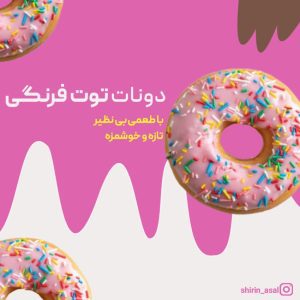نمونه کار ادمین نگین مطلبی