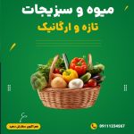 نمونه کار علیرضا ترابی