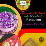 نمونه کار شکوفه نوازنی