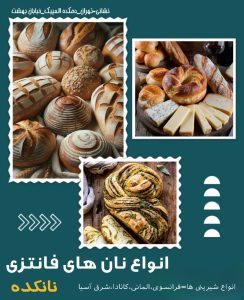 نمونه کار ادمین نرگس صدرایی