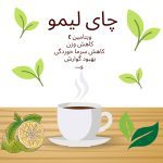 نمونه کار سید مهدی موسوی نیا