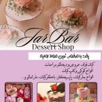 نمونه کار پرستو افشان