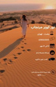 نمونه کار ادمین زهرا محمودی