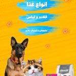 نمونه کار مریم عربی