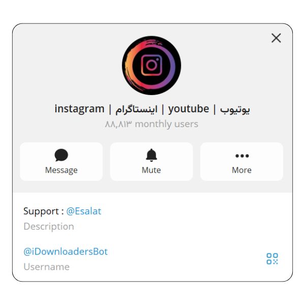 ربات iDownloadersBot برای دانلود پروفایل اینستاگرام