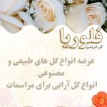 نمونه کار سحر محمودپوری